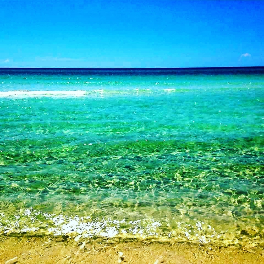 Paintings using Acrylic and watercolor on canvas.